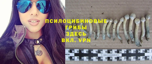 Альфа ПВП Армянск