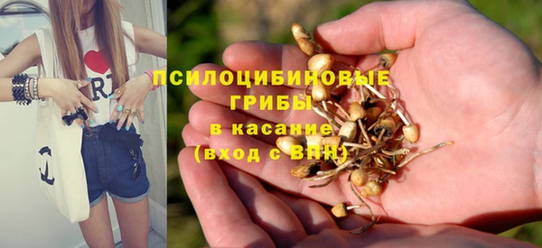 Альфа ПВП Армянск