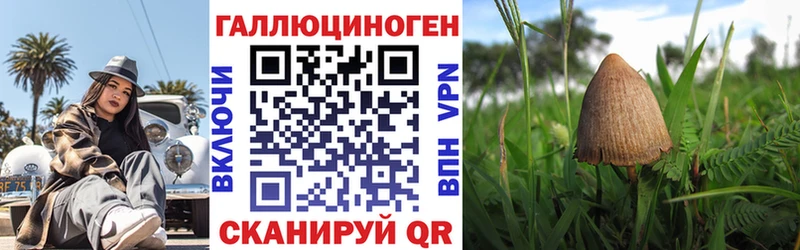 OMG ссылки Новоульяновск Псилоцибиновые грибы ЛСД