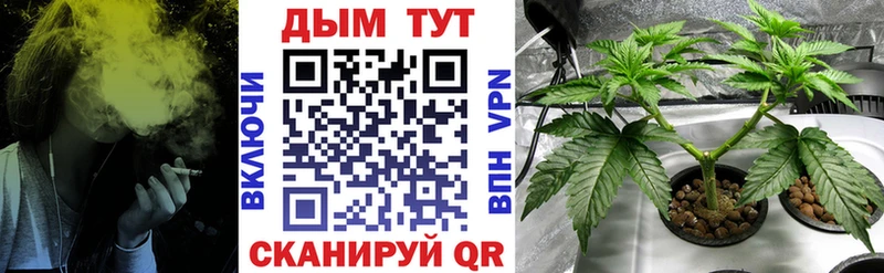продажа наркотиков  KRAKEN ONION  Бошки Шишки AK-47  Новоульяновск 